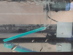 Screen Shot 2023-02-15 at 12.15.58 PM